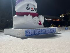 -沈阳奥体冰雪嘉年华