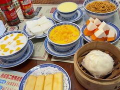 炸牛奶-捷信牛奶甜品世家(五道口店)