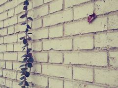 -咱家大院海鲜家常菜