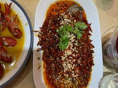 -杨氏青龙虾·羊蝎子(珠江路店)