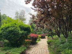 -前关湿地公园