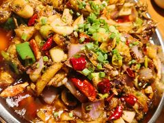 -老号尤兔头(幸福店)