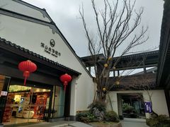 -雅达·阳羡溪山小镇中心