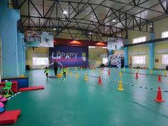 -长春乐奇平衡车儿童体能运动中心