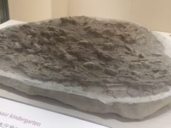 -辽宁古生物博物馆