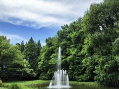 -上海共青森林公园