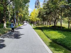 -昆山城市生态森林公园