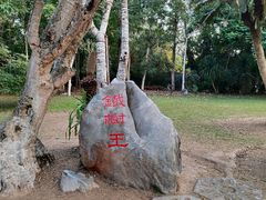 -中国科学院西双版纳热带植物园