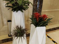 -北京广安门维景国际大酒店