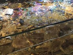 -蟹之国·精品蟹料理(极地店)