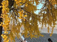 -自如ZSPACE四合院艺术餐厅