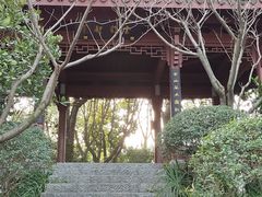 -杭州半山国家森林公园