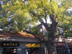 -香山公园-东宫门售票处