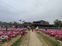 -盈香心动乐园
