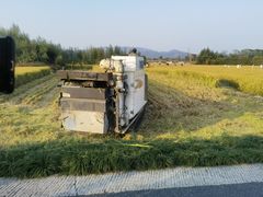-良渚古城遗址公园