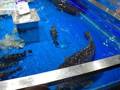 -盒马鲜生(悦峰店)
