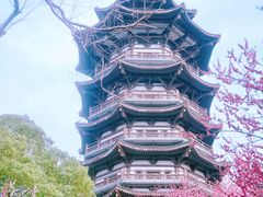 -洋湖国家湿地公园