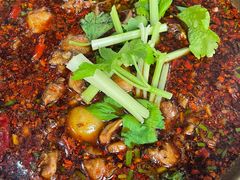 -温江公平红烧兔(总店)