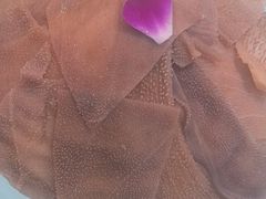 -蜀留香火锅(社会山店)