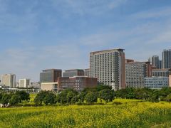 -光明小镇欢乐田园