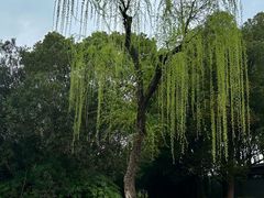 -黄兴公园