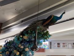 -雀蓝川菜(滨湖万象汇店)