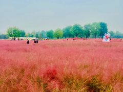 -汉长安城未央宫国家考古遗址公园