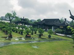 -盆景园(扬州大运河文化旅游度假区)