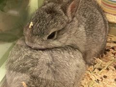 -龙猫仔乐园(惠福东路店)