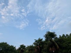 -水上明月·湖景餐厅