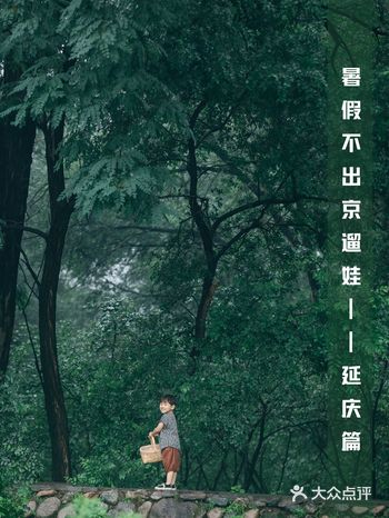 暑假不出京的游玩攻略——延庆篇，吃住玩都有