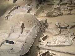 -洛阳周王城天子驾六博物馆