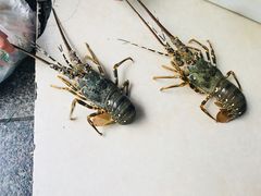 -小辣妹川味海鲜加工店(第一市场椰风巷店)
