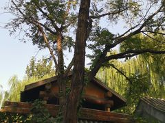 -悦真雅院·四合院·清真私房菜(雍和宫店)