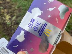 -麦当劳(捞品城店)