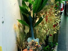 -泰妃殿(宏伊国际广场店)
