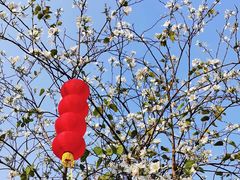 -火炉山森林公园