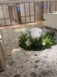 -北京漾格医疗美容医院