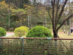 -飞凤山奥体公园