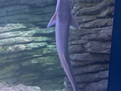 -欢乐海岸海洋奇梦馆
