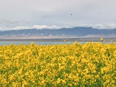 -青海湖国家重点风景名胜区