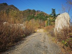 -秦岭风景区