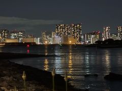 -台场海滨公园船码头