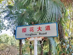 -武汉大学-樱园