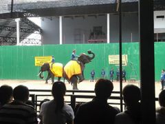 -东芭乐园