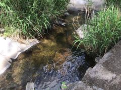 -碓臼峪自然风景区