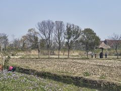 -广富林郊野公园