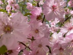 -大兴滨河森林公园