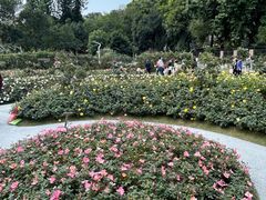 -人民公园(罗湖区)