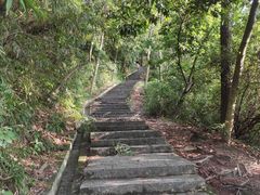 -火炉山森林公园
